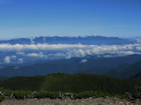 IMG_0703_1.jpg