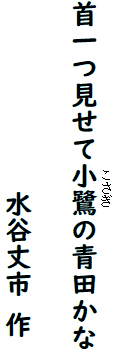 　　　　　　　　　　　　　こさぎ
首一つ見せて小鷺の青田かな

　　　　　　　水谷丈市 作